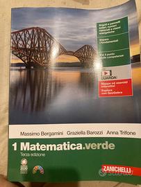 Libro 1’superiore matematica verde