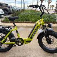 E-bike Panda Focarini nuova