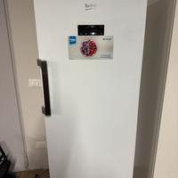 Congelatore Beko RFNE290E33WN