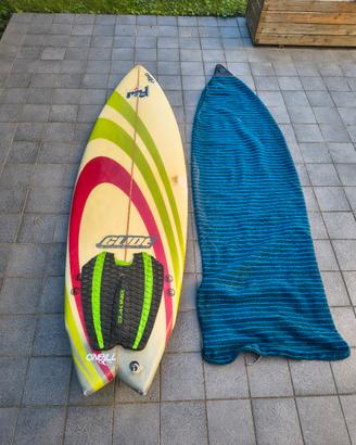 surf rrd fish