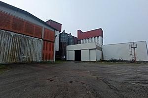 RGE 359/2024 Trib Pavia