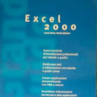 Grande guida Excel 2000 JACKSON LIBRI