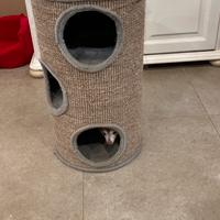 Cucvia gatti/ cagnolino