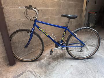 Mountain bike OLIVA