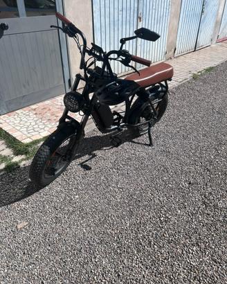 Ebike elettrico