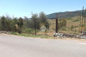 TER. AGRICOLO A GIFFONI VALLE PIANA