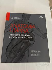 Anatomia umana