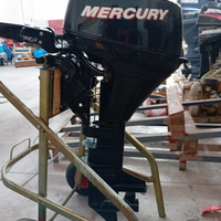 Mercury 9.9 4t