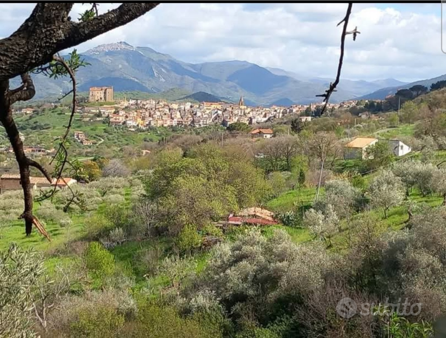 Terreno con rustico a Castelbuono - Altro
