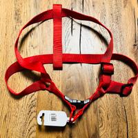 4 Pettorine scapolari rosse taglia XL