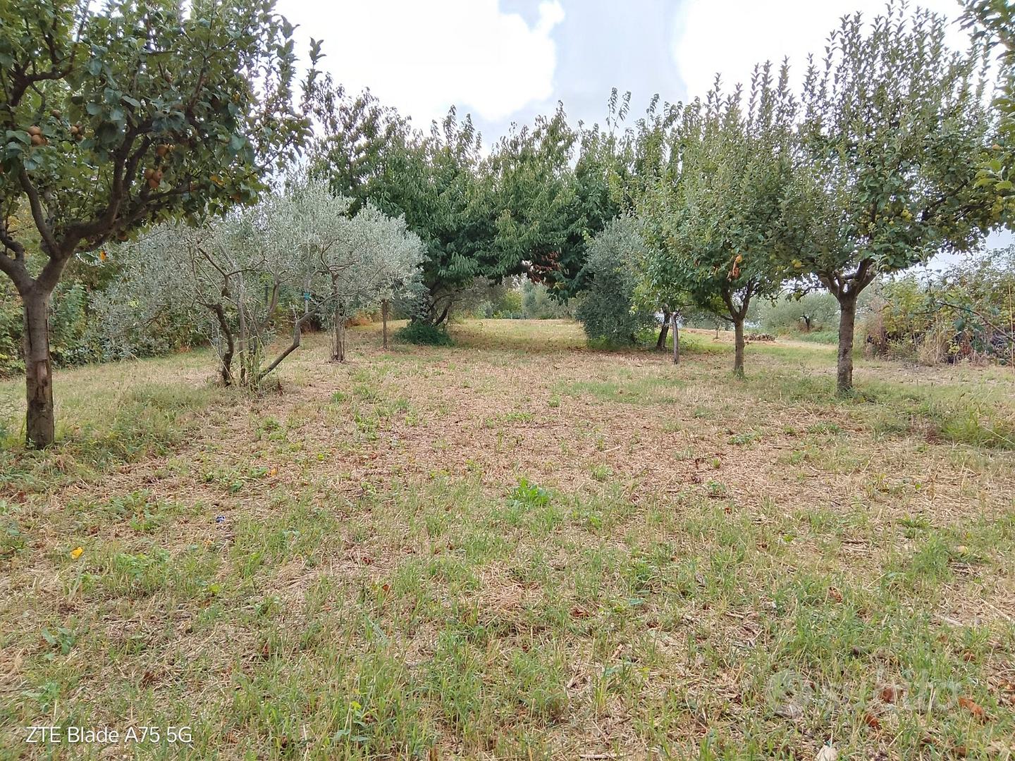 Terreno agricolo - Vista 3