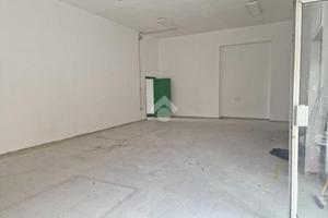 MULTILOCALE A PONTINIA