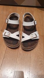 Birkenstock n.33