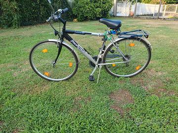 Bici da uomo