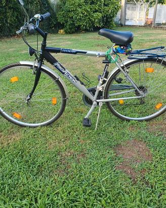 Bici da uomo