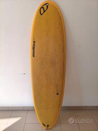 Tavola da surf 6'2 McKee Fun Egg by  Fanatic