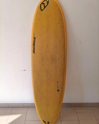 Tavola da surf 6'2 McKee Fun Egg by  Fanatic