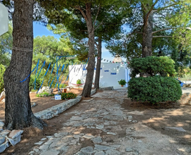 Bilocale Cisternino