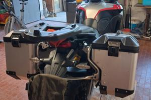 Ducati