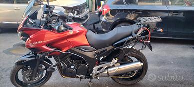 Yamaha TDM 900 - 2007 - Euro 3