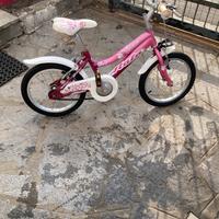 Bicicletta