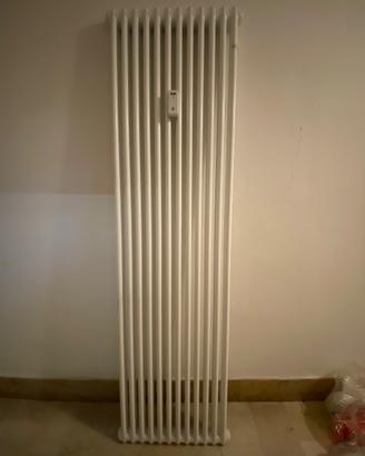 Termosifone radiatore IRSAP TESI 2000/2 EL. 12