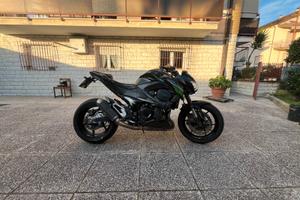 Z-800e depo a libretto