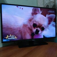 TV Philips 32 pollici 