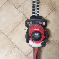 Tagliasiepi Einhell