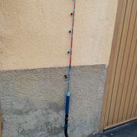 CANNA SUNRISE ATLANTIC RODS 30 LB