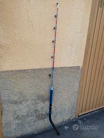 CANNA SUNRISE ATLANTIC RODS 30 LB
