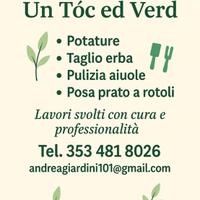 Giardiniere - cura e manutenzione giardini