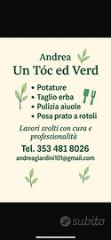 Giardiniere - cura e manutenzione giardini