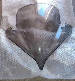 cupolino fz6