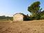 Immagine 12