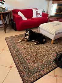 Tappeti persiani autentici