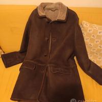 Montone di Daniel Hechtet