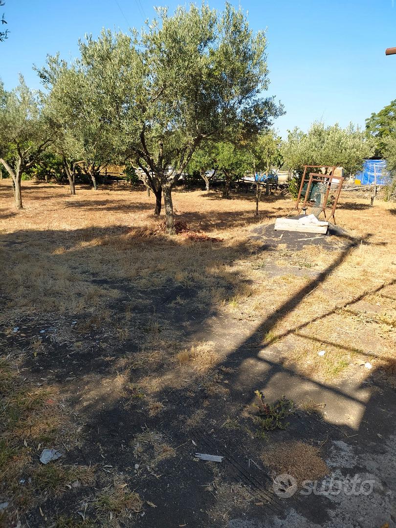 Terreno agricolo - Altro
