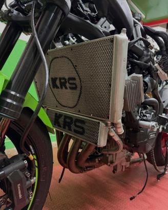 Kawasaki zx4rr2024