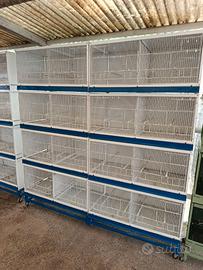 BATTERIA CHILLON 8 FORI USATA
