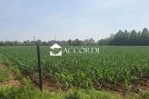 Rif.RT594_5| terreno agricolo vedelago