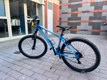 Bici mountain bike Lombardo sestriere
