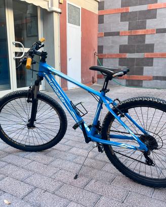 Bici mountain bike Lombardo sestriere