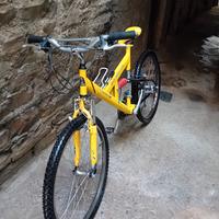Bici mountain bike

comete