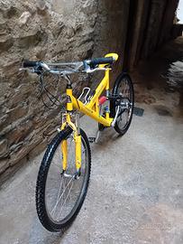 Bici mountain bike

comete