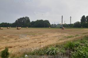 Terreno Agricolo Ivrea [A4270453]