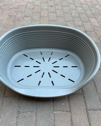 Cuccia per cane