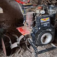  motozappa Benassi 10cv diesel