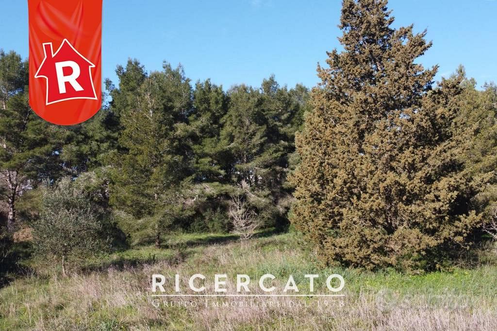 Terreno di 3600 m² a Lecce - Vista 4