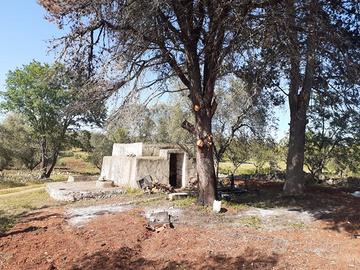 Terreno ostuni carovigno edificabile 9000mq